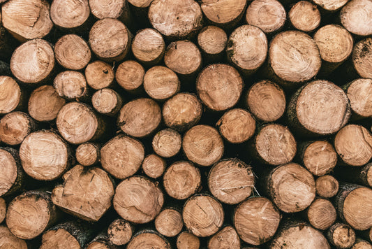 Drying Wood to Make Log Furniture