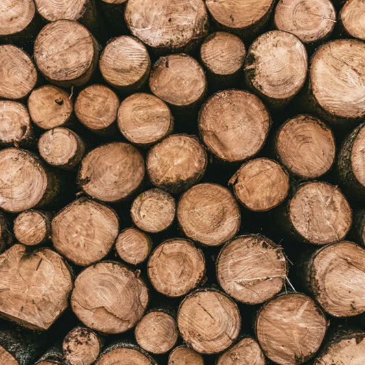 Drying Wood to Make Log Furniture