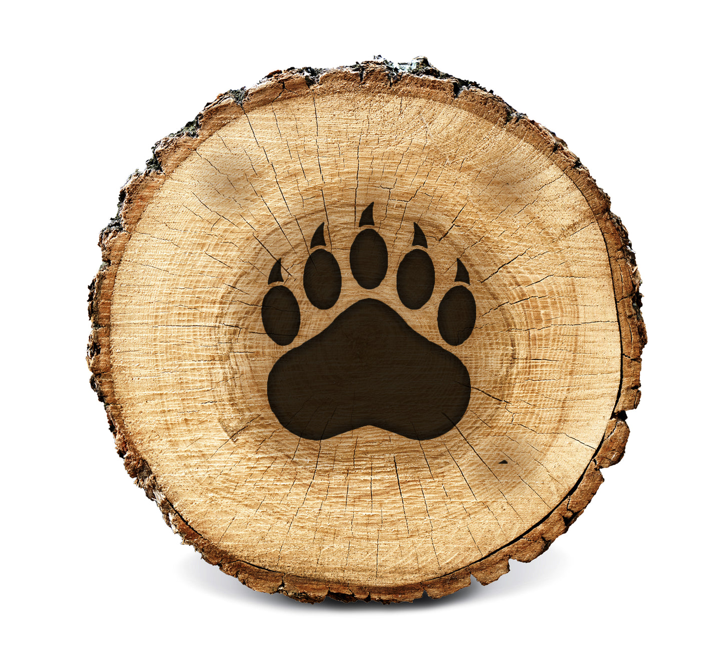 BurnStencil® - Bear Paw