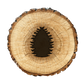 BurnStencil® - Pine Cone