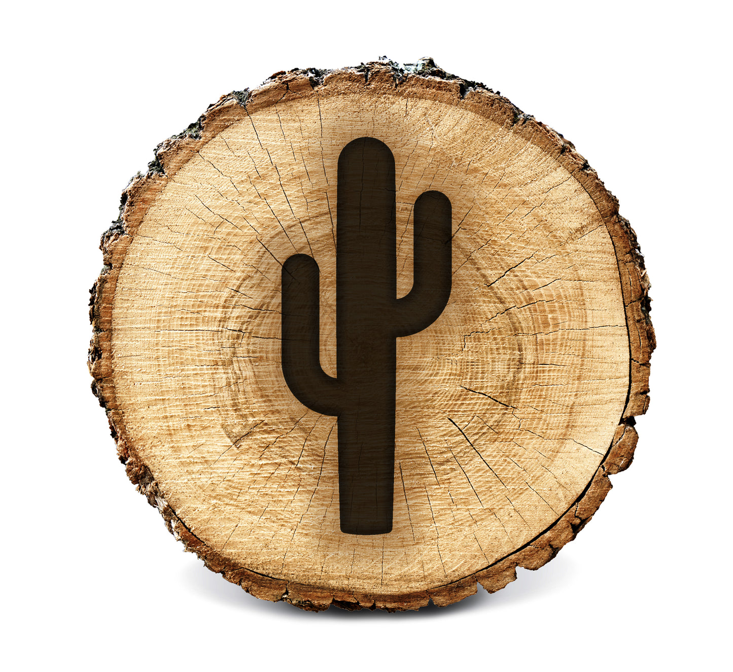 Wood Burning Stencil - Cactus