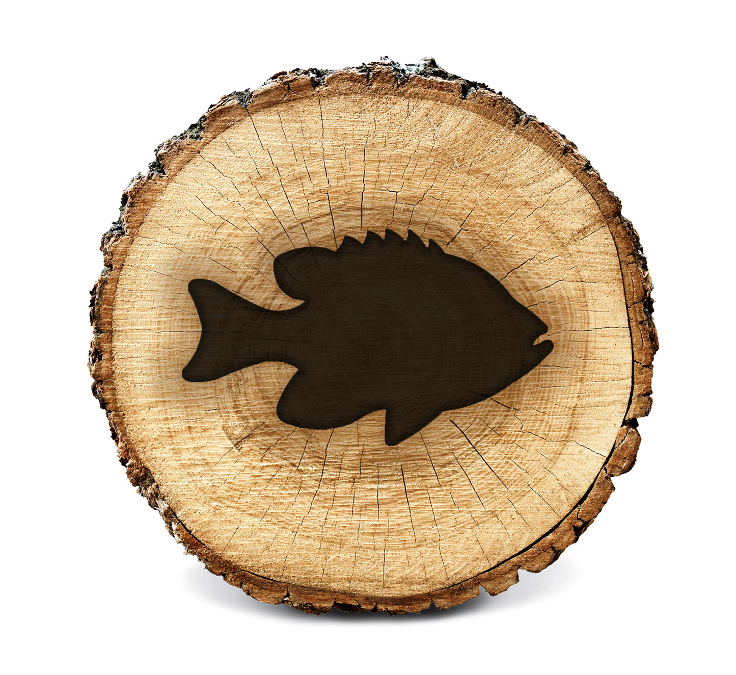 BurnStencil® - Fish (Bluegill) (Mini)