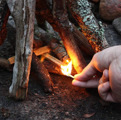 Billy Buckskin Fatwood Fire Starter Sticks – 10 Pound Box