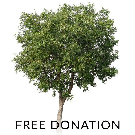 Free Tree Donation