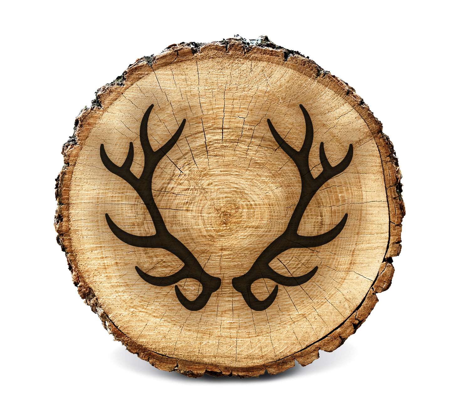 BurnStencil® - Antlers (Elk)