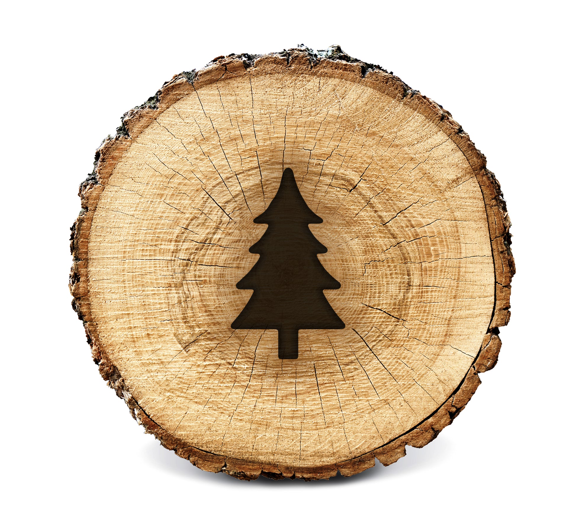 Lumberjack Tools® Wood Burning Stencil - Pine Tree