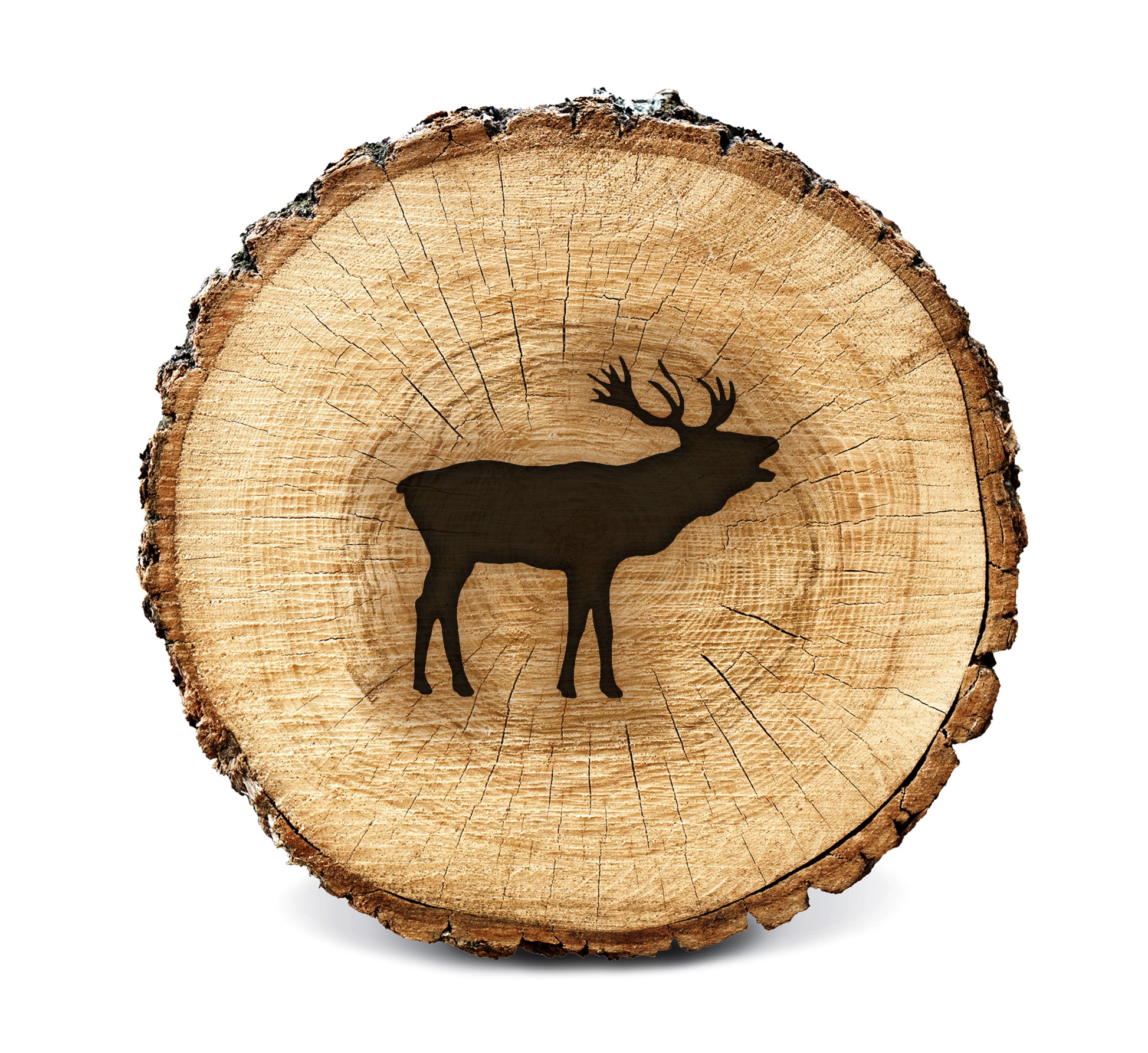 BurnStencil® - Antlers (Elk)