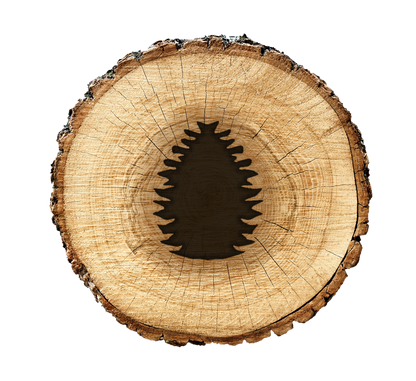 BurnStencil® - Northwoods 3 Pack