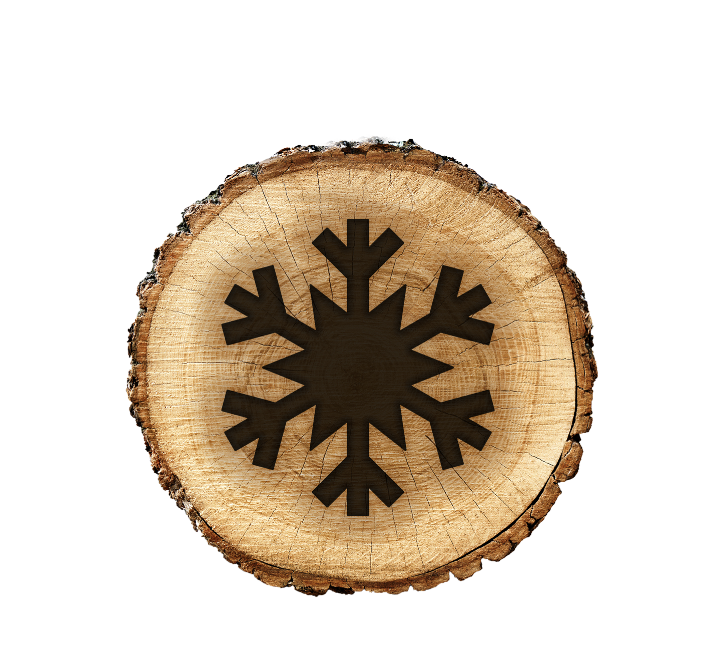 BurnStencil® Mini Winter Holiday 4 Pack