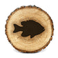 BurnStencil® - Freshwater Fish 3 Pack