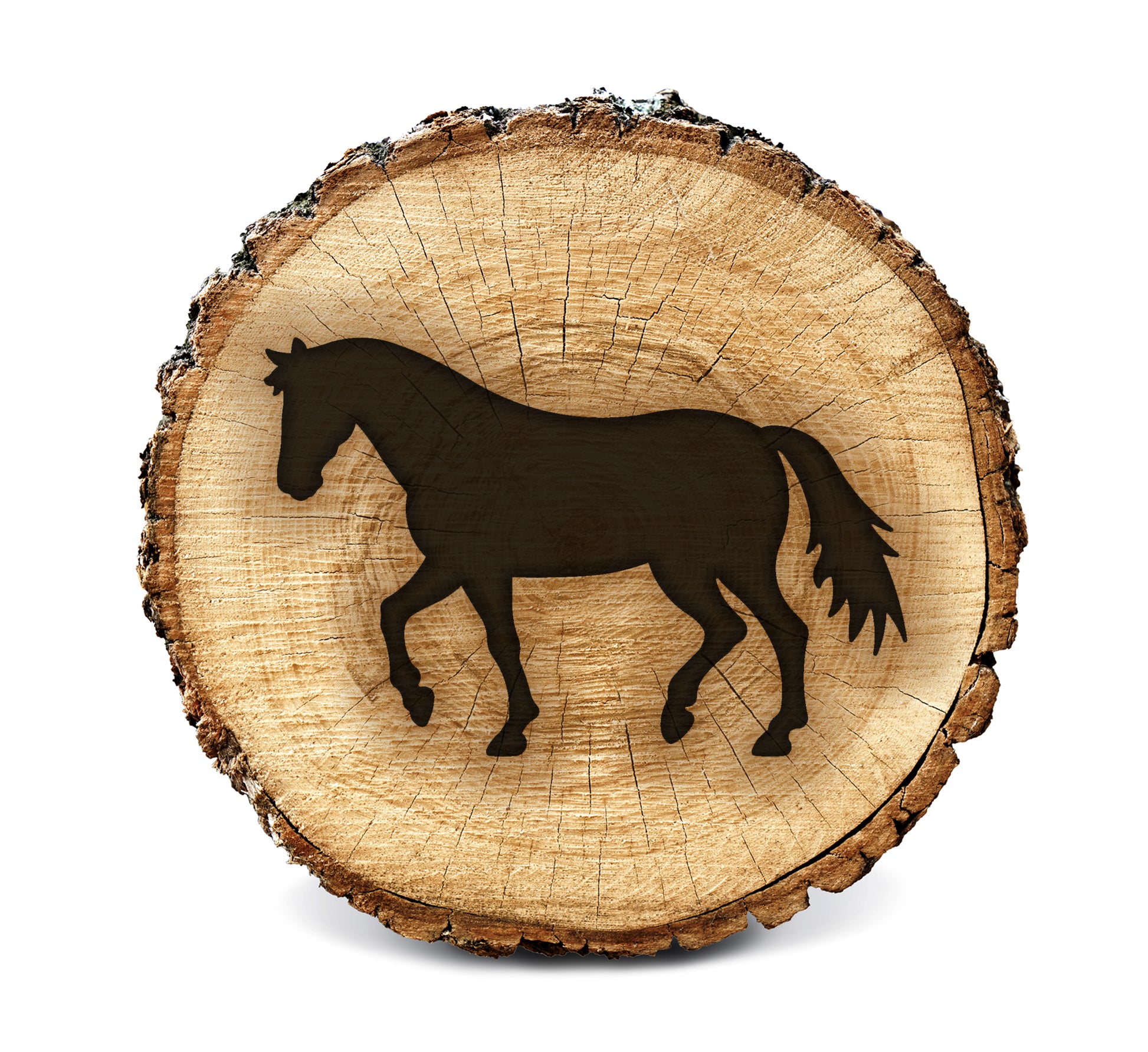 Wood Burning Stencil - Horse Side Profile